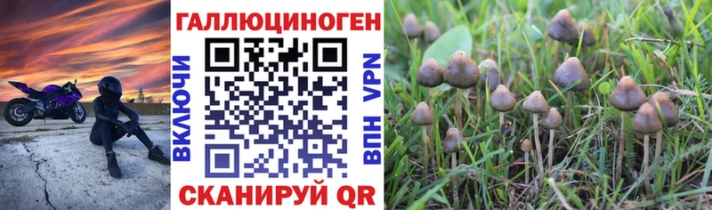 Галлюциногенные грибы GOLDEN TEACHER  Аркадак 